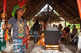 Huni Kuin ceremony, cooking Nixi Pae at the Eskawata festival
